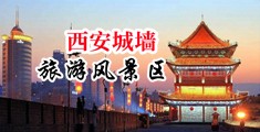 啊啊啊…高潮了…好爽啊中国陕西-西安城墙旅游风景区
